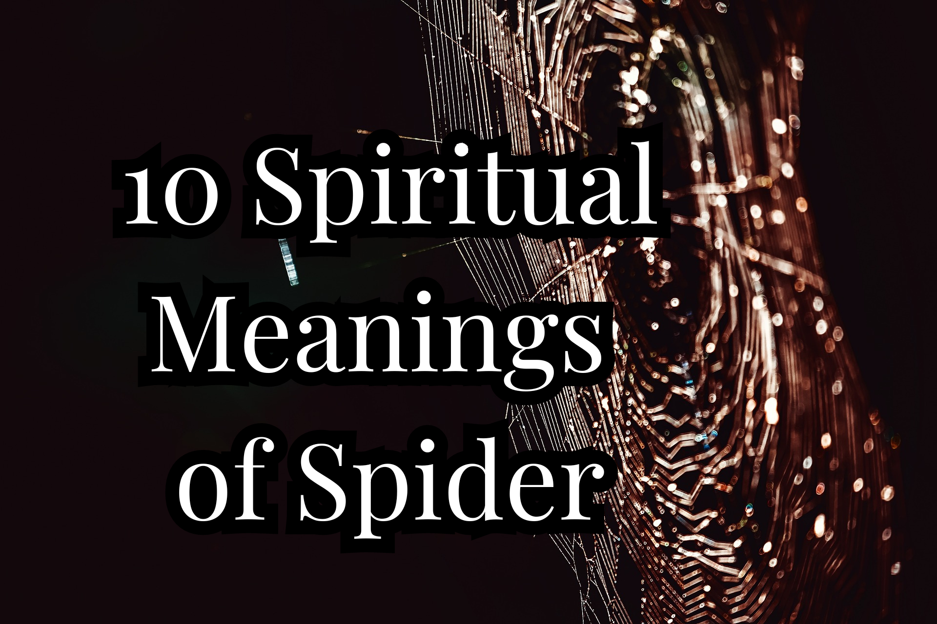 10 Spiritual Meanings of Spiders