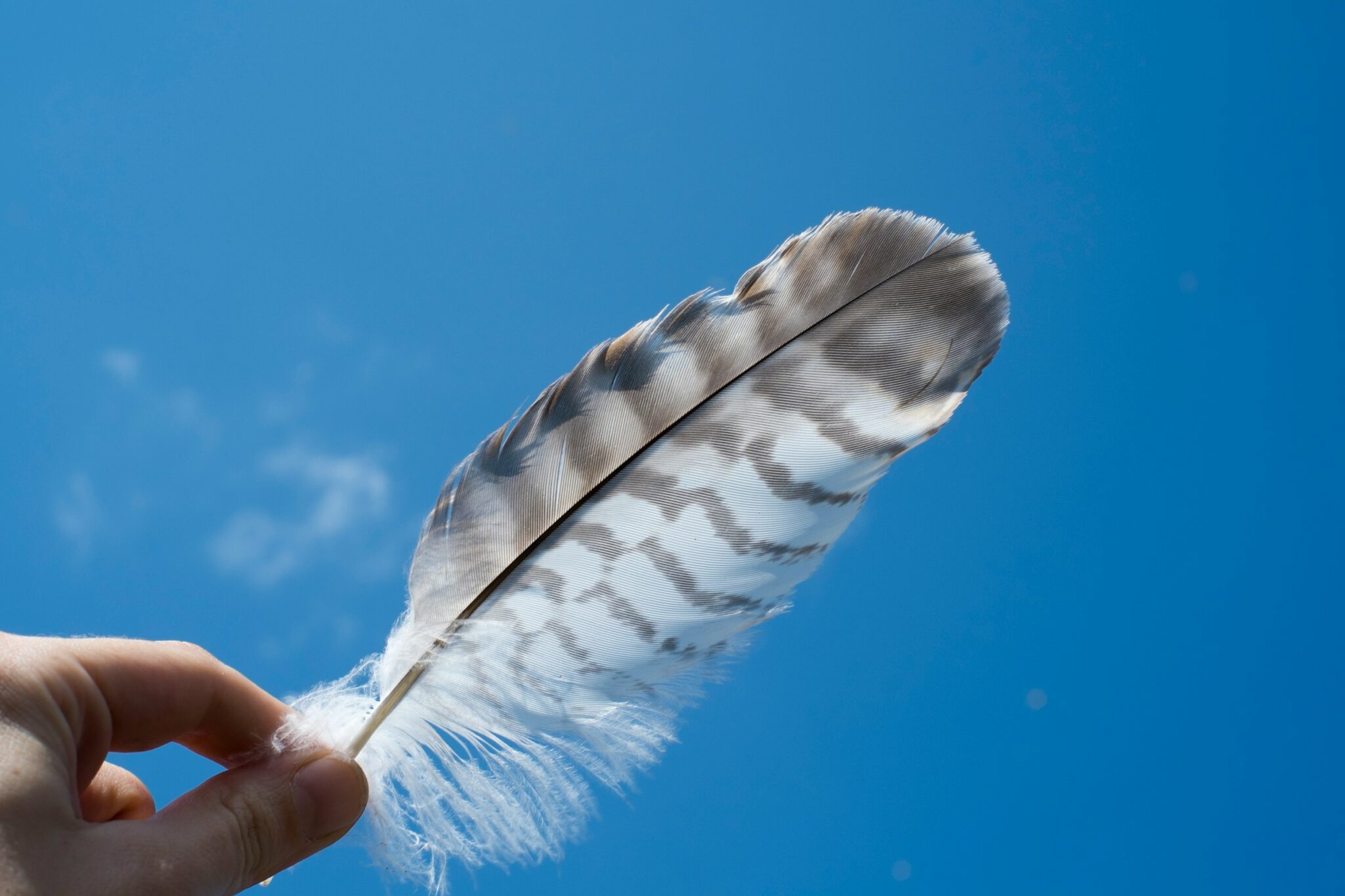 man holding a feather - spiritual meaning of a feather