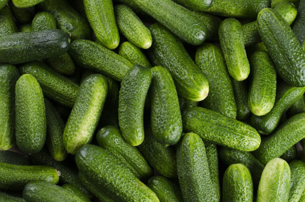 cucumber - Spiritual Meanings of Smelling Cucumbers